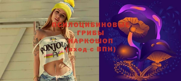 гидропоника Елизово