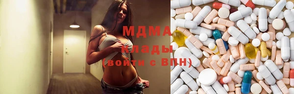 индика Заволжье
