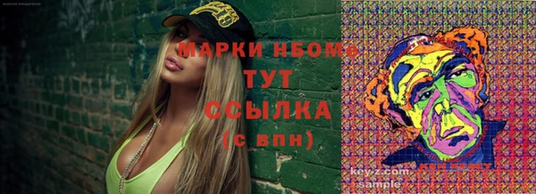 индика Заволжье
