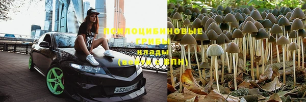 гидропоника Елизово