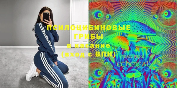 гидропоника Елизово