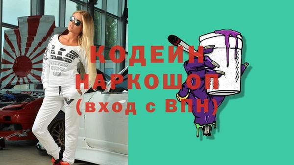 индика Заволжье