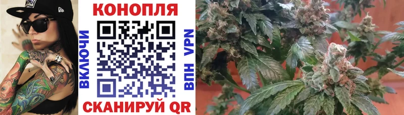 Купить закладки  Дятьково  Канабис MAZAR 